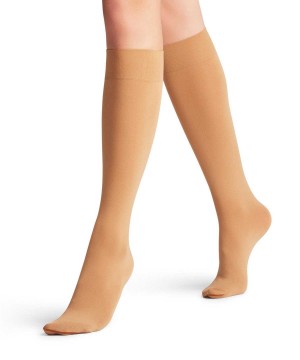 Beige Falke Seidenglatt 40 DEN Knee-high Socks Women Socks | 849-WDTIPZ