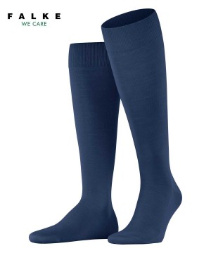 Blue Falke ClimaWool Knee-high Socks Men Socks | 674-VMNIZW