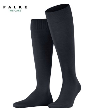 Blue Falke ClimaWool Knee-high Socks Men Socks | 842-BZVONI