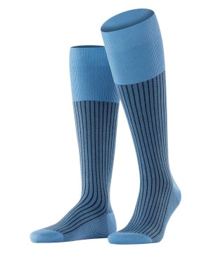 Blue Falke Oxford Stripe Knee-high Socks Men Socks | 156-FNZWLP