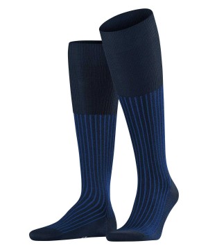 Blue Falke Oxford Stripe Knee-high Socks Men Socks | 240-VTIKNG