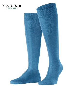Blue Falke Tiago Knee-high Socks Men Socks | 438-HXUQVS