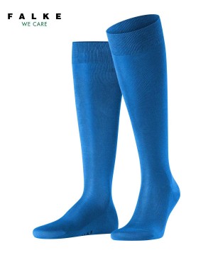Blue Falke Tiago Knee-high Socks Men Socks | 571-MKYNGT