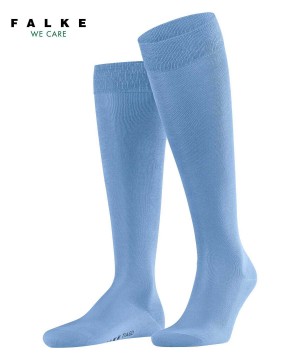 Blue Falke Tiago Knee-high Socks Men Socks | 396-YACSEZ