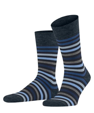 Blue Falke Tinted Stripe Socks Men Socks | 306-TZQUHL