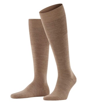 Brown Falke Airport Knee-high Socks Men Socks | 579-HLPDEG