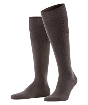 Brown Falke Airport Knee-high Socks Men Socks | 624-FXLVPO