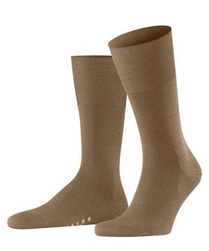 Brown Falke Airport Socks Men Socks | 509-CNIETO