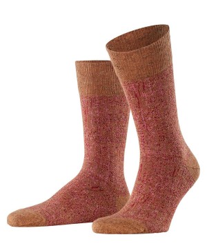 Brown Falke Artisanship Socks Men Socks | 603-RAOVHT