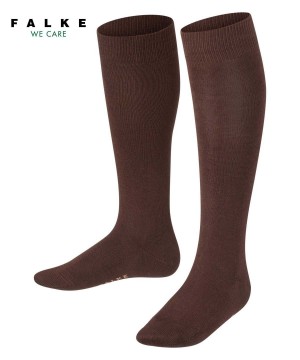 Brown Falke Family Knee-high Socks Kids' Socks | 319-LWVPHD
