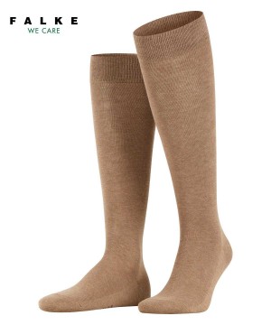 Brown Falke Family Knee-high Socks Men Socks | 182-IFSBRN