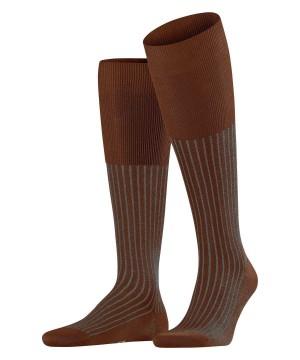 Brown Falke Oxford Stripe Knee-high Socks Men Socks | 407-HMSVNB