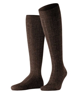 Brown Falke Teppich im Schuh Knee-high Socks Men Socks | 023-BQSVXL