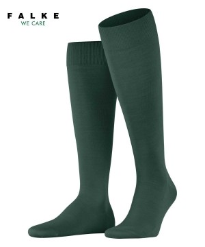 Green Falke ClimaWool Knee-high Socks Men Socks | 416-EKNDGH