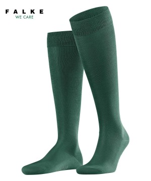 Green Falke Tiago Knee-high Socks Men Socks | 783-VBISXO