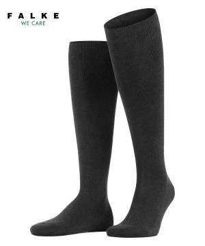 Grey Falke Family Knee-high Socks Men Socks | 937-XYKWQB