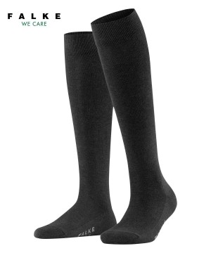 Grey Falke Family Knee-high Socks Women Socks | 813-ILFXPS