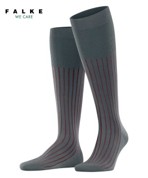 Grey Falke Shadow Knee-high Socks Men Socks | 592-PCADUL