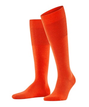 Orange Falke Airport Knee-high Socks Men Socks | 421-MYQVSN