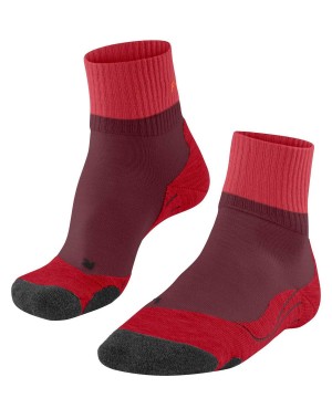 Red Falke TK2 Explore Short Trekking Short sock Women Sports Socks | 024-VIDPBQ