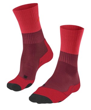 Red Falke TK2 Explore Trekking Socks Women Sports Socks | 754-FCQOHM